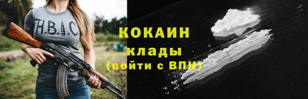 сатива Лагань