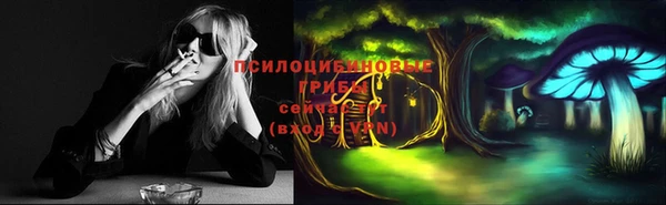 сатива Лагань