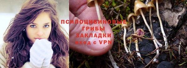 сатива Лагань
