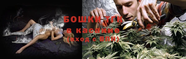 сатива Лагань